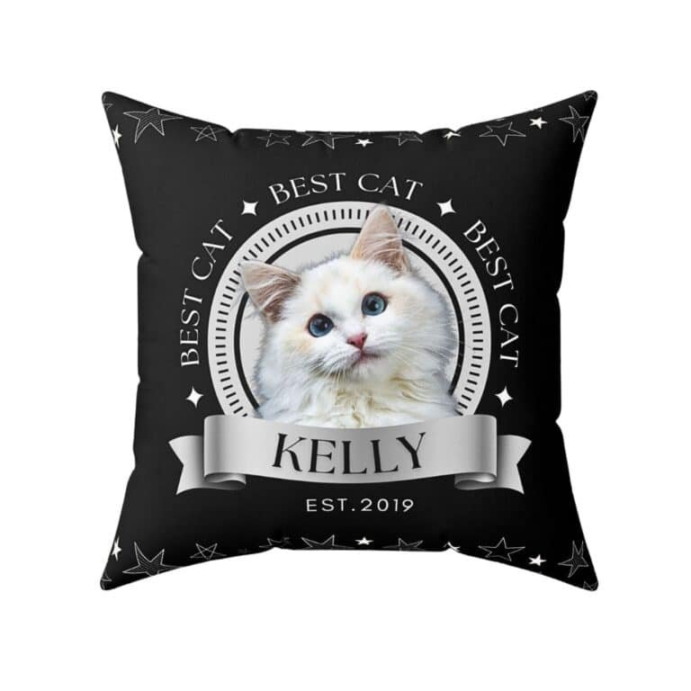 Front view of a black custom pet photo pillow, featuring a cat, with "Best Cat" text.