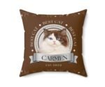 Front view of a brown personalized cat photo pillow with "Best Cat" text.