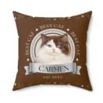 Front view of a brown personalized cat photo pillow with "Best Cat" text.
