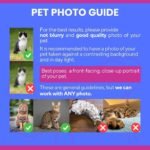 Cat photo guide