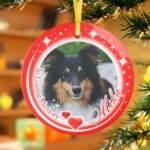 Red Christmas pet ornament with a custom dog or cat photo