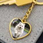Custom heart-shaped pet picture keyring in yellow gold finish, featuring a detailed pet photo engraving and a polished, elegant design
