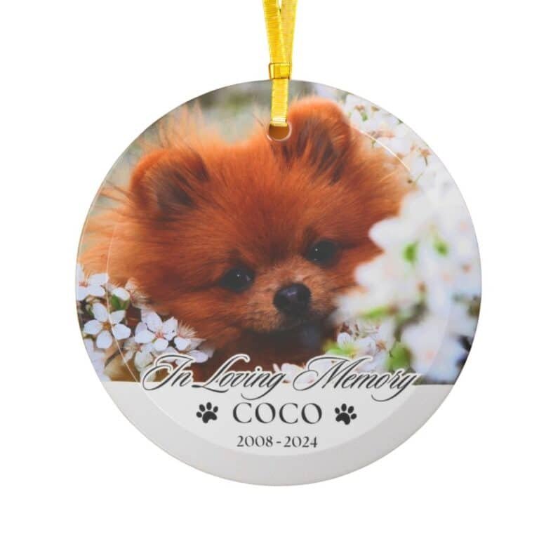 Custom memorial ornament for a pet, featuring a pet's photo