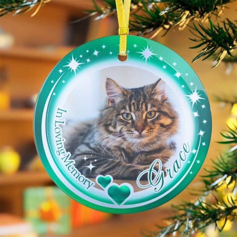 Green "In Memory Of" pet ornament, a Christmas gift for pet owners