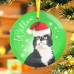 Lime green personalized Christmas pet ornament with cat portrait and name hanging on a Christmas tree