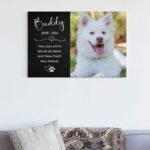 Pet memorial portrait frame for passed cats and dogs above the couch