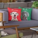 Two personalized dog photo pillows, one red and one green, resting on a couch.