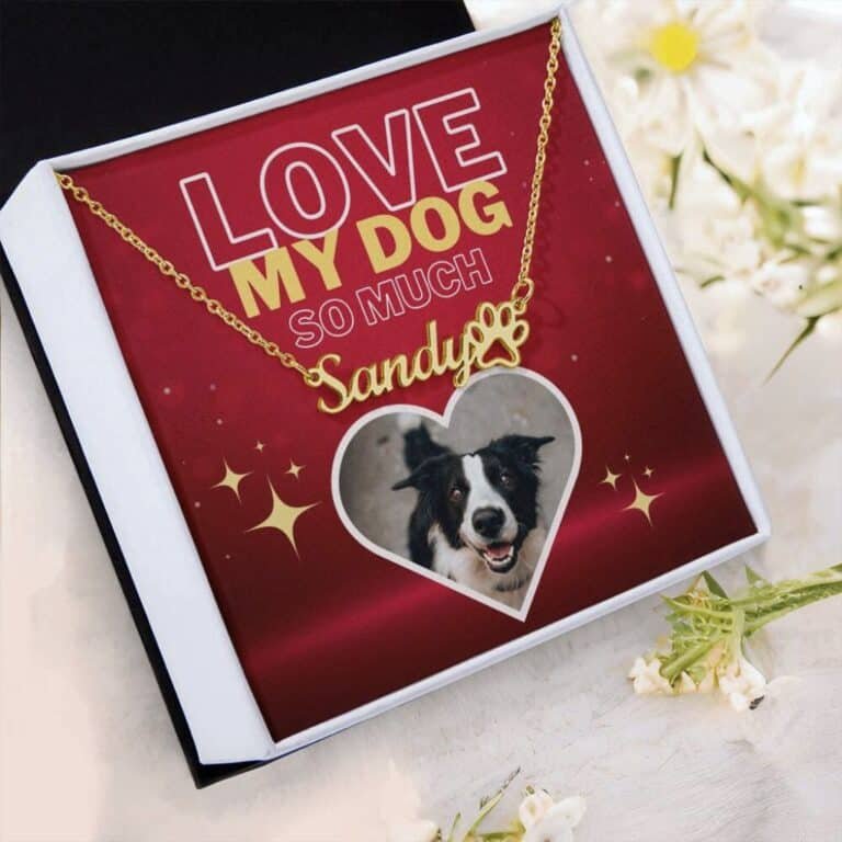 Dog name necklace with paw print, displayed on a red message card.