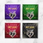 Stainless steel dog name and paw print necklace with dog photo—customizable with a choice of background colors