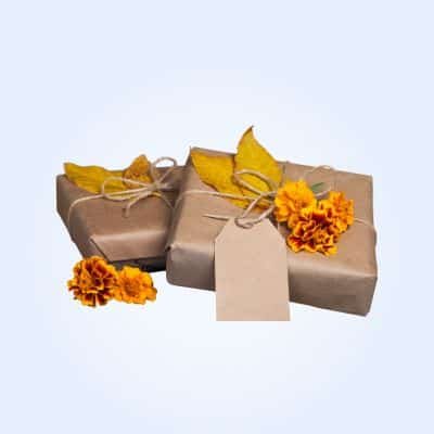 Fall collection thumbnail