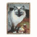 Personalized woven pet photo blanket featuring a cat’s portrait with soft, cozy texture, designed as a heartfelt keepsake for cat lovers.